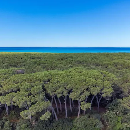 Della Duna By Interhome 펜션 Collemezzano